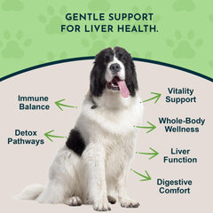 Cuenta-gotas del Liver Defense para dosificar con precisión en perros y gatos.