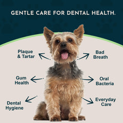 Animal Essentials Sea-Dent aliento fresco para mascotas en rutina diaria