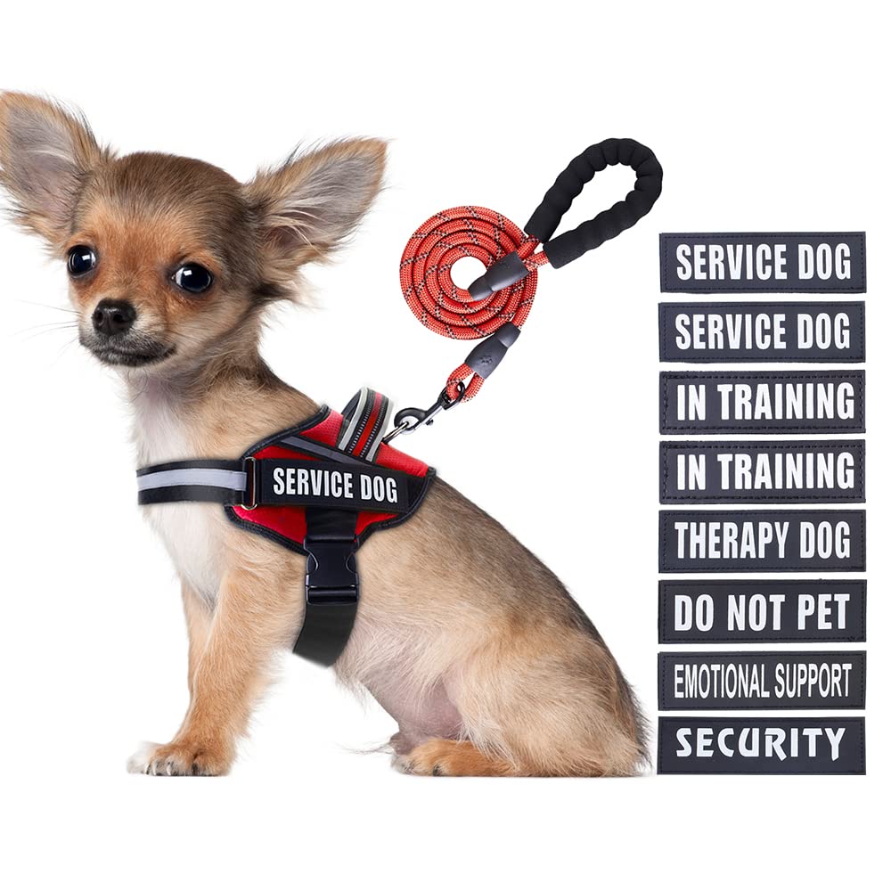 Animire arnés de entrenamiento para perro con parches personalizables para identificación.