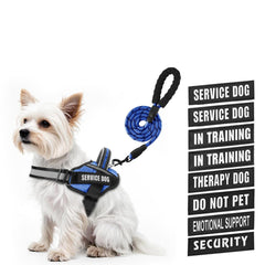Animire arnés para perro en entrenamiento, cómodo y ajustable para uso diario.