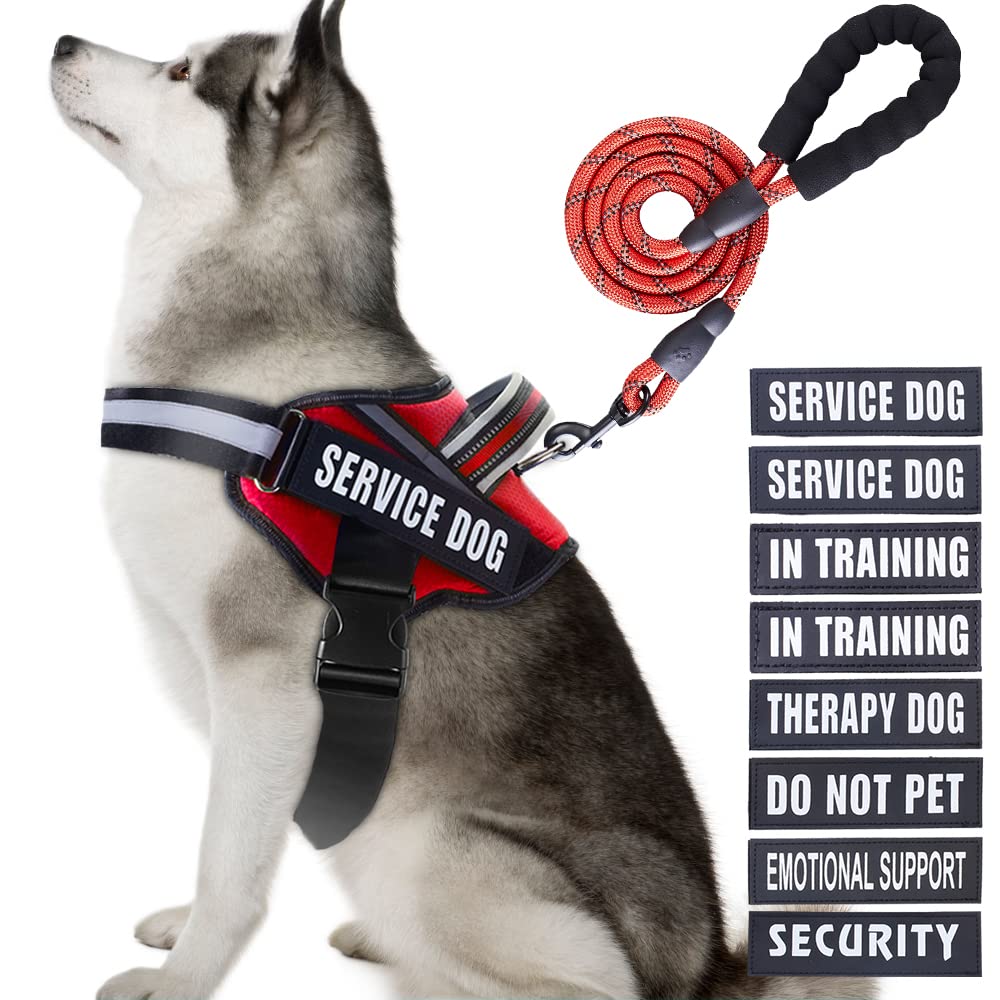Animire arnés de servicio con parches para entrenamiento diario.