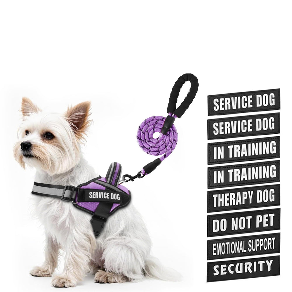 Arnés Animire para perro en entrenamiento con ajuste cómodo