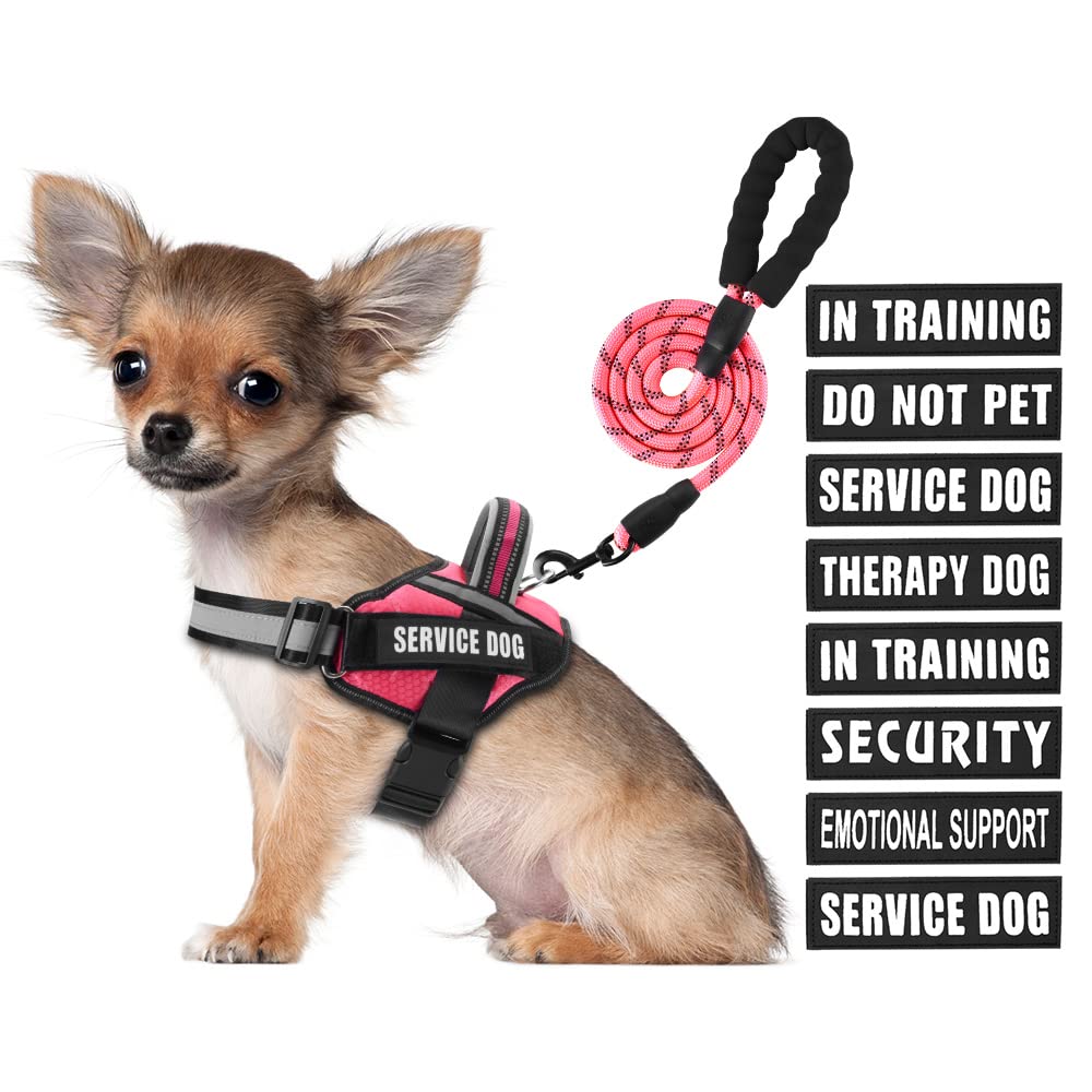 Animire arnés de servicio para perro en entrenamiento, cómodo y seguro.