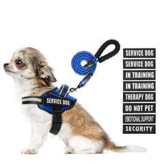 Animire arnés de servicio para perro, frente con parches informativos