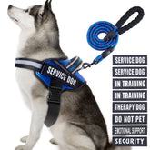 Animire arnés de servicio para perro con parches: señalización clara durante entrenamiento.