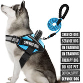 Animire arnés de servicio con parches para entrenamiento y señalización.