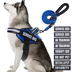 Animire arnés de servicio para perro con parches: señalización clara durante entrenamiento.