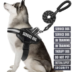 Animire arnés-servicio-perro: arnés cómodo para uso diario y entrenamiento.