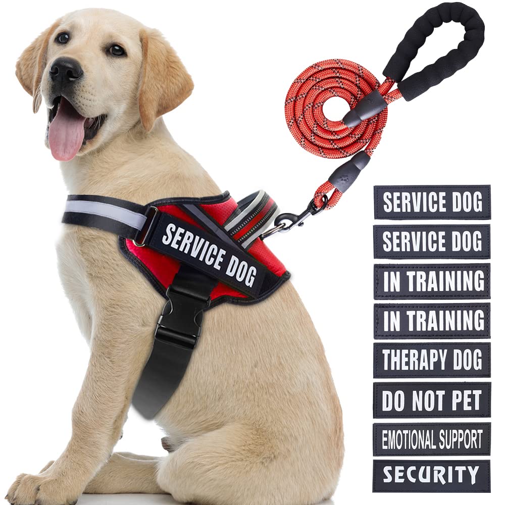 Chaleco Animire para perro de servicio en entrenamiento, cómodo y seguro para uso diario.