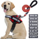 Chaleco Animire para perro de servicio en entrenamiento, cómodo y seguro para uso diario.
