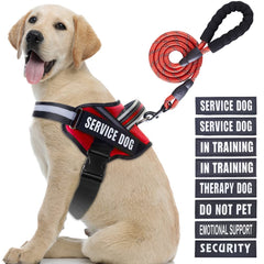 Chaleco Animire para perro de servicio en entrenamiento, cómodo y seguro para uso diario.
