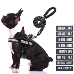 Arnés de servicio Animire con parches para entrenamiento y señalización.