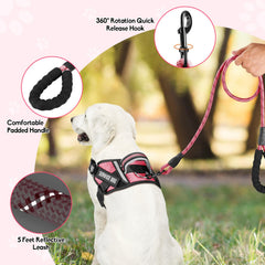 Parche Animire para perro, parches brillantes y útiles.