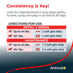 Antinol Plus: dosis diaria para perros de tamaño medio a grande.