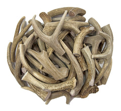 Piezas de cornamenta Antler Man para perro mediano.