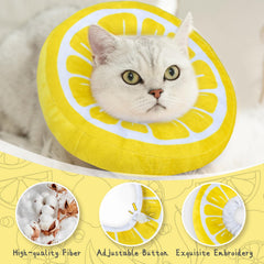 ANWA cono gato visión libre para comer