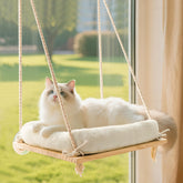 Anywish percha-ventana-gato madera rustica ofrece descanso al sol.