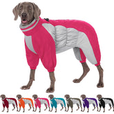 AOFITEE capa para perro con arnés incorporado, ideal para paseos estables.