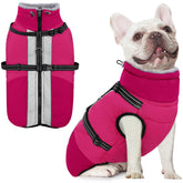 Chaqueta AOFITEE para perros pequeños con arnés integrado, ideal para paseos seguros.