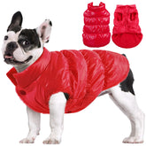 Chaqueta AOFITEE para perro, frontal, cálida para paseos invernales.