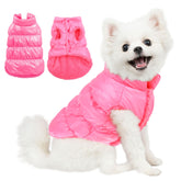 AOFITEE chaqueta para perro pequeño frente, ideal para paseos fríos
