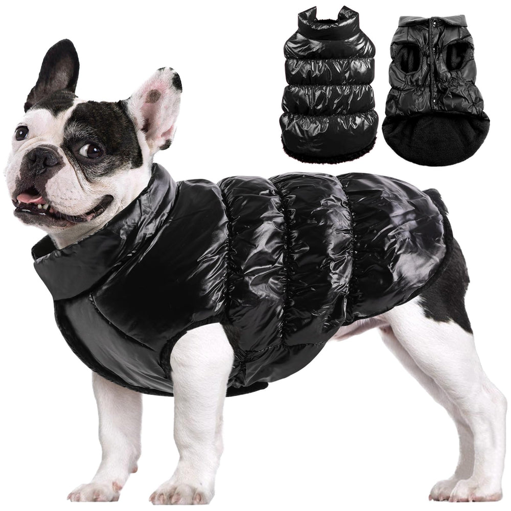AOFITEE chaqueta para perros, detalle cuello tortuga para calor extra