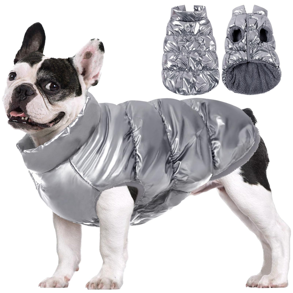 AOFITEE jaqueta para perro, vista frontal, ideal para paseos diarios.