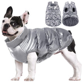 AOFITEE jaqueta para perro, vista frontal, ideal para paseos diarios.