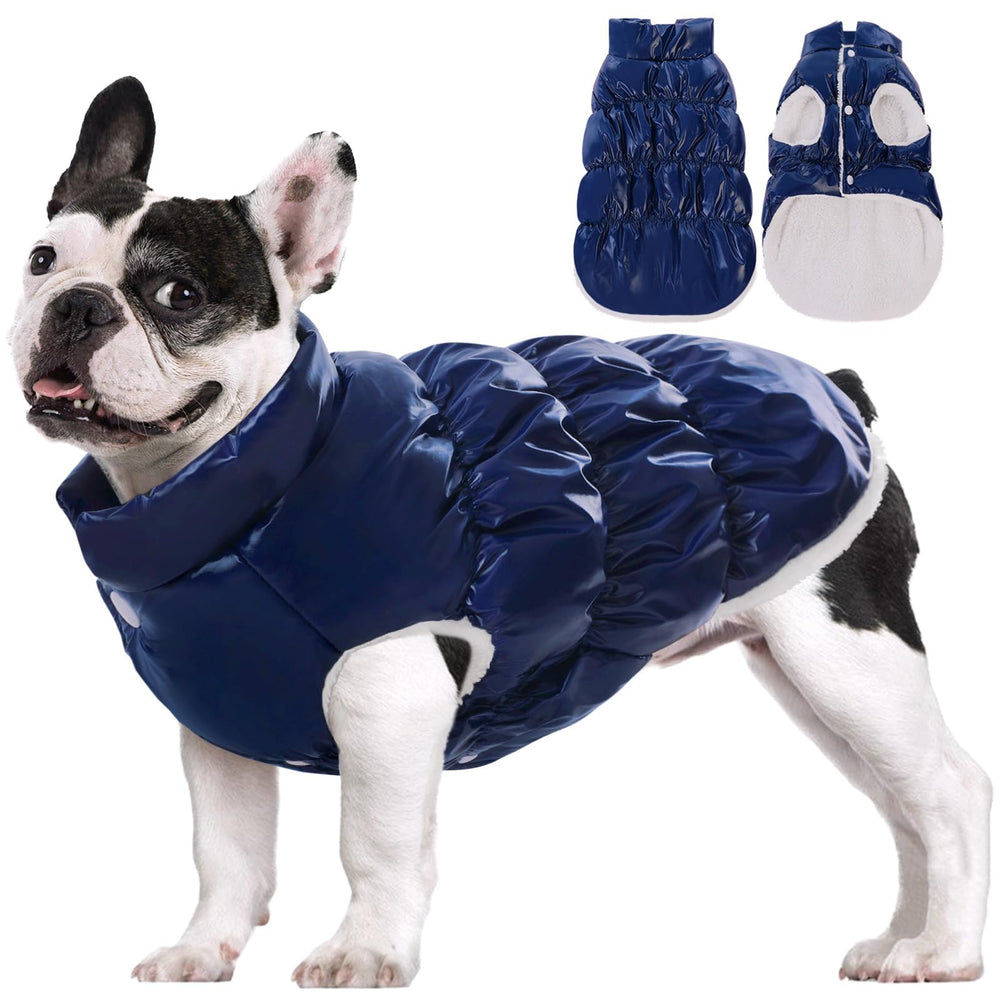 AOFITEE chaqueta para perro, vista frontal, mantiene cálido y seco.