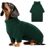 AOFITEE sudadera para perrito XS, vista general, cálida para paseos invernales.