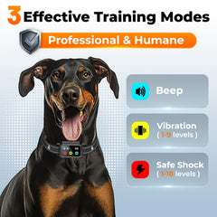 Aolulf control remoto de 3300 ft para entrenamiento de dos perros