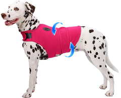 AOOLMOL chaleco ansiedad para perros visto de frente, contención suave
