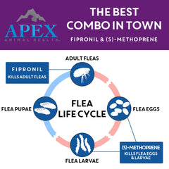 Apex Plus: aplicación tópica fácil para un pelaje uniforme.