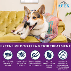 Apex Plus: dosificación para perros grandes, protección precisa.