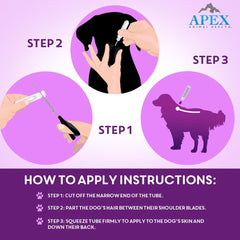 Apex Plus: perro activo cuida la piel con la aplicación.