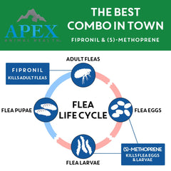 Apex Plus regula el crecimiento de insectos en gatos.
