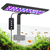 Luz AQQA con clip para acuario iluminando peces y plantas
