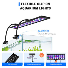 Modo 24/7 de AQQA simula día y noche para un acuario equilibrado.