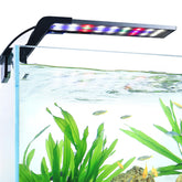Luz de acuario AQQA clip-on para realzar colores de peces.