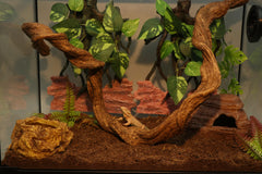 AQUA KT rama torsion terrario geckos, diseño flexible para crear estructuras.