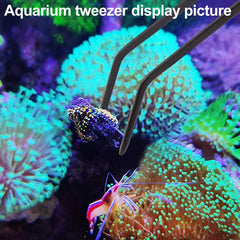 Alimentador de corales 26 pulgadas de Aquarium Choice, reposicionamiento seguro