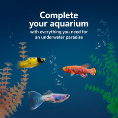 Termómetro de lectura rápida en el kit Aqueon para acuario de 10 galones.