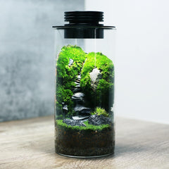 AREPK terrario de vidrio para escritorio, opción decorativa y versátil.
