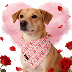ARING PET Bandana con motivo corazón, diseño romántico para salidas