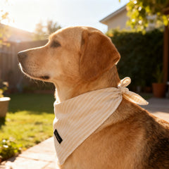 Aring Pet bandana talla L: ajuste cómodo para cuello grande.