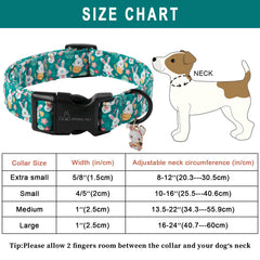 Anilla D del collar ARING PET para colgar placa y correa