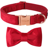 Aring Pet collar con lazo removible para ocasiones especiales
