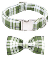 Collar Aring Pet con lazo ajustable para paseos diarios y comodidad.