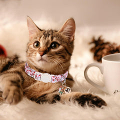 Collar Aring Pet cierre ruptible, seguridad ante escapes en gatos.