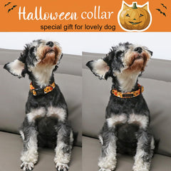 Collar Aring Pet Halloween Fantasma, ajustable y fácil de poner para uso diario.